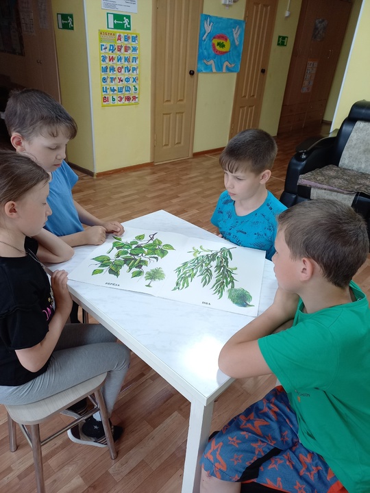 Лето — страна вечного детства, в которой даже взрослые иногда чувствуют себя немножко детьми….